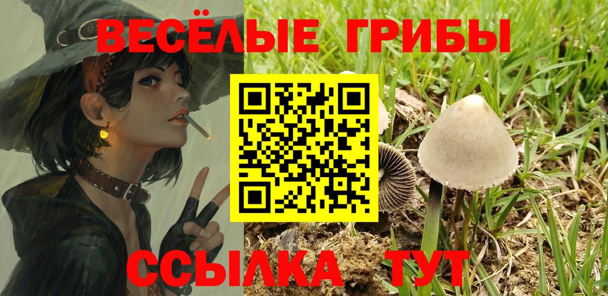 Новокубанск  цена наркотик  Вход с VPN  Галлюциногенные грибы Cubensis 