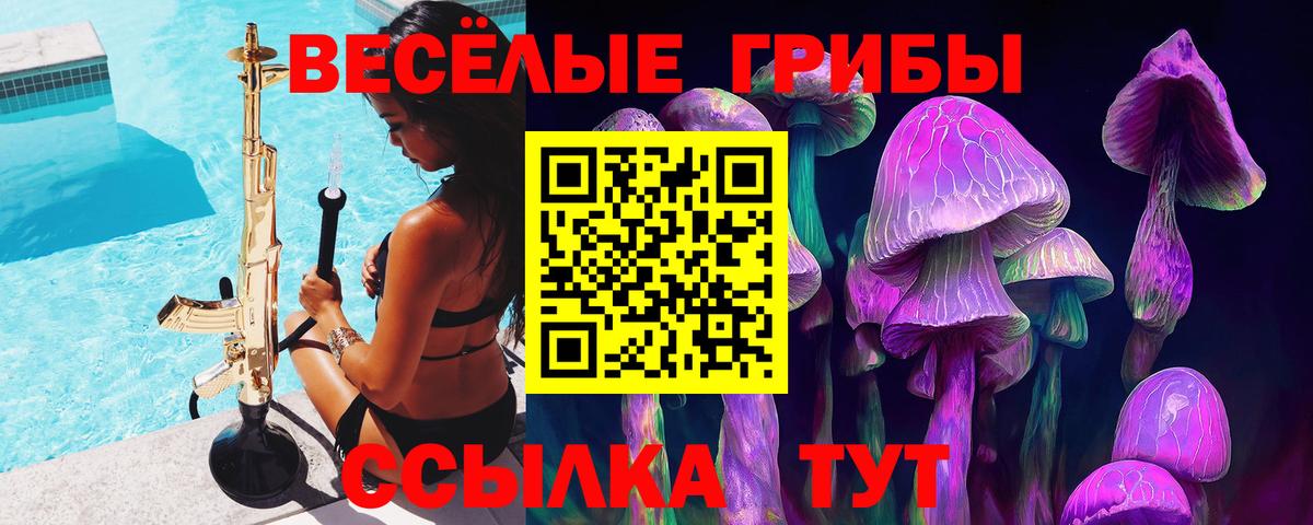 Псилоцибиновые грибы мицелий Новокубанск